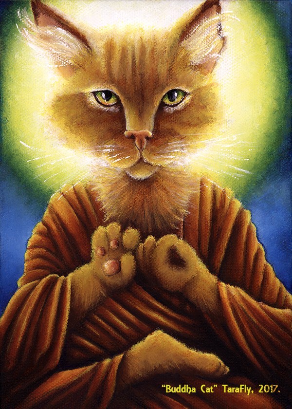 Buddha_Cat